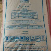 کودسفید پردیس ومسجدسلیمان