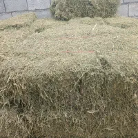 یونجه|لوازم جانبی حیوانات|حمیل, |دیوار