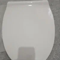 درب توالت فرنگی