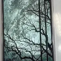 گوشی ردمی A5