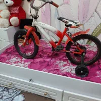 دوچرخه|دوچرخه، اسکیت، اسکوتر|رشت, عینک|دیوار