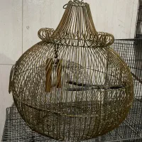 اکواریوم بزرگ و تعدای قفس