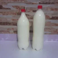 دوغ محلی