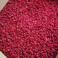 زرشک، عناب، حبه عناب، زعفران