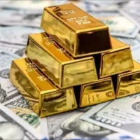 جشنواره موربیت ۵۰۰هزارتومانی