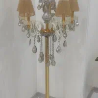 کنارسالنی