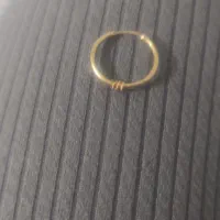 گمشده لنگ گواشواره
