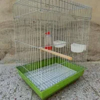 قفس پرنده عروس هلندی کاملاً سالم