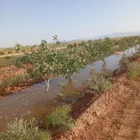 آب چاه