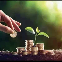 مشارکت در کار تولیدی