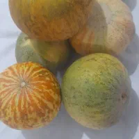گرمک