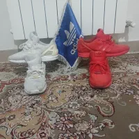 کتونی zx فلوکس ۳۷