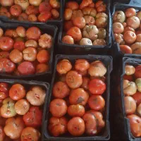 گوجه کردی خوشمزه