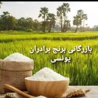 فروش ویژه برنج های ایرانی با کالابرگ