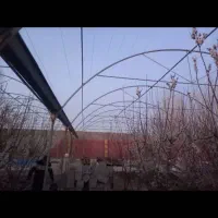 سازه گل خانه گل خونه فروش فوری