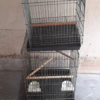 قفس پرنده سالم و بدون زنگ زدگی