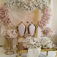 دیجی بانوان با رقص نور رایگان