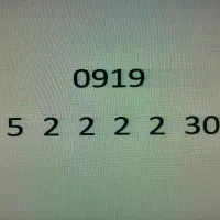 9195222230