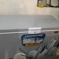 یخچال با گاریش چرخ گوشت و فریزر
