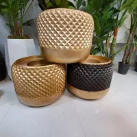 حراج گلدان به قیمت خرید