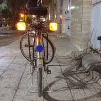 دوچرخه ۲۶|دوچرخه، اسکیت، اسکوتر|بندر ماهشهر, |دیوار