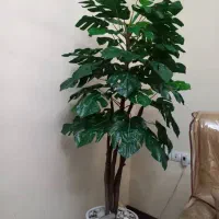 درختچه زیبای مصنوعی