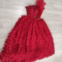 دن  مجلسی