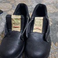 کفش نگهبان کفش کار