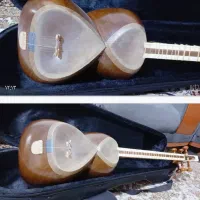 تار با مهر کاوسی
