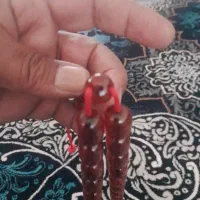 تسبیح سندلوس المان