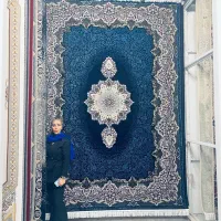 کارینا دلفینی ۱۲ متری فرش جدید ۱۵۰۰ شانه