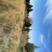 ۴۵۰ متر زمین سند تک برگ زعفرانیه