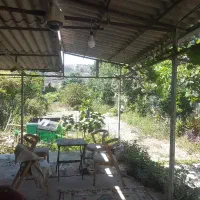 زمین با موقعیت تجاری مسکونی و خونه باغ