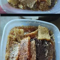 هنگوین طبیعی