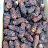 فروش عمده و خرده انواع خرما درجه 1دنیادیده