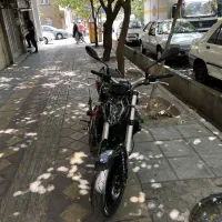 بنلی ۳۰۰ نو