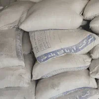 کچ پلدختر زیرکار