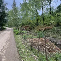 زمین-تجاری-در-شهرک-بعثت