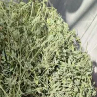 یونجه خالص. خشک