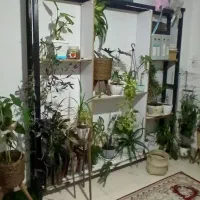 استند قفسه کتابخانه