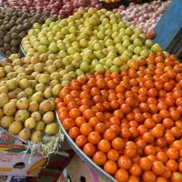 شاگرد میوه فروشی