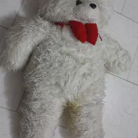 عروسک خرس و سگ بزرگ