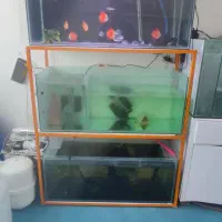پایه سه طبقه آکواریوم  فیلتر سطلی جفت پوزه بوته ای