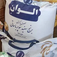 برنج پاکستانی الوان