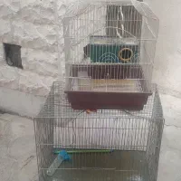 قفس پرنده