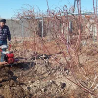 خدمات باغبانی در منطقه صوفیان و شبستر