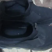 کفش اسپرت