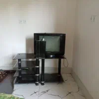 تلویزیون