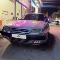 زانتیا نقره ای