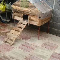 همخونه
